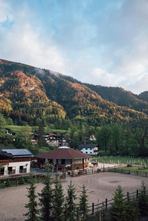Príroda v okolí hotela