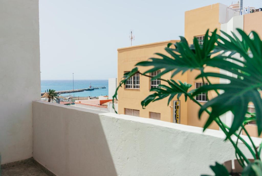 Fiesta y Siesta - 13