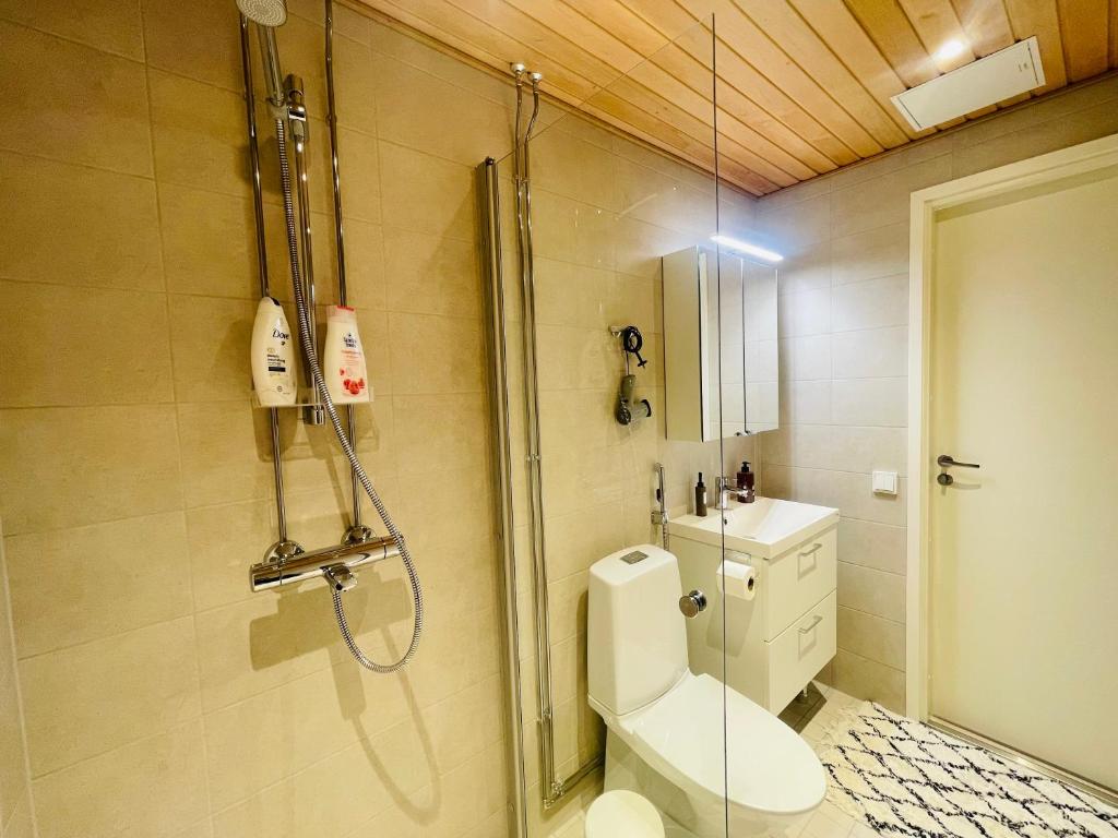 a bathroom with a shower and a toilet and a sink at Cityhome Kaarto in Rovaniemi