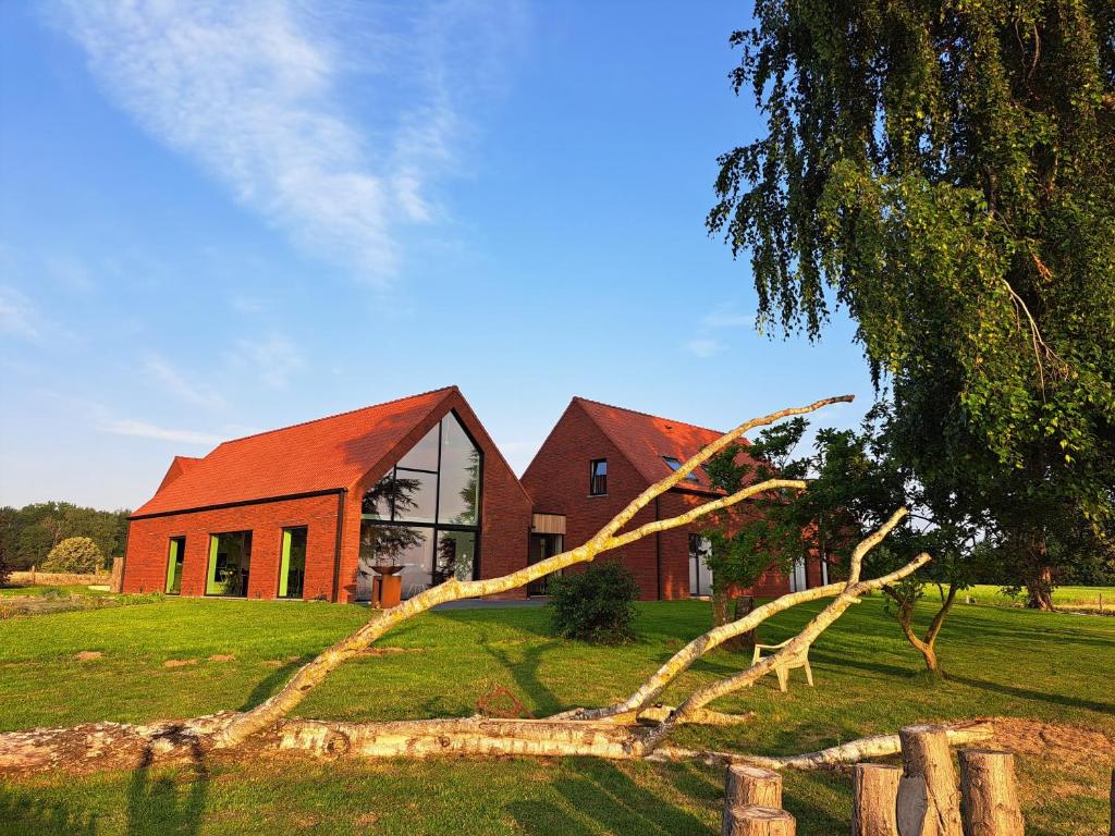 une branche d'arbres devant une maison dans l'établissement Jubaru, à Tournai