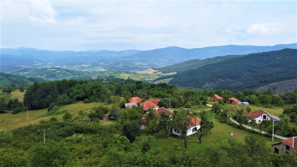 Příroda nedaleko vily
