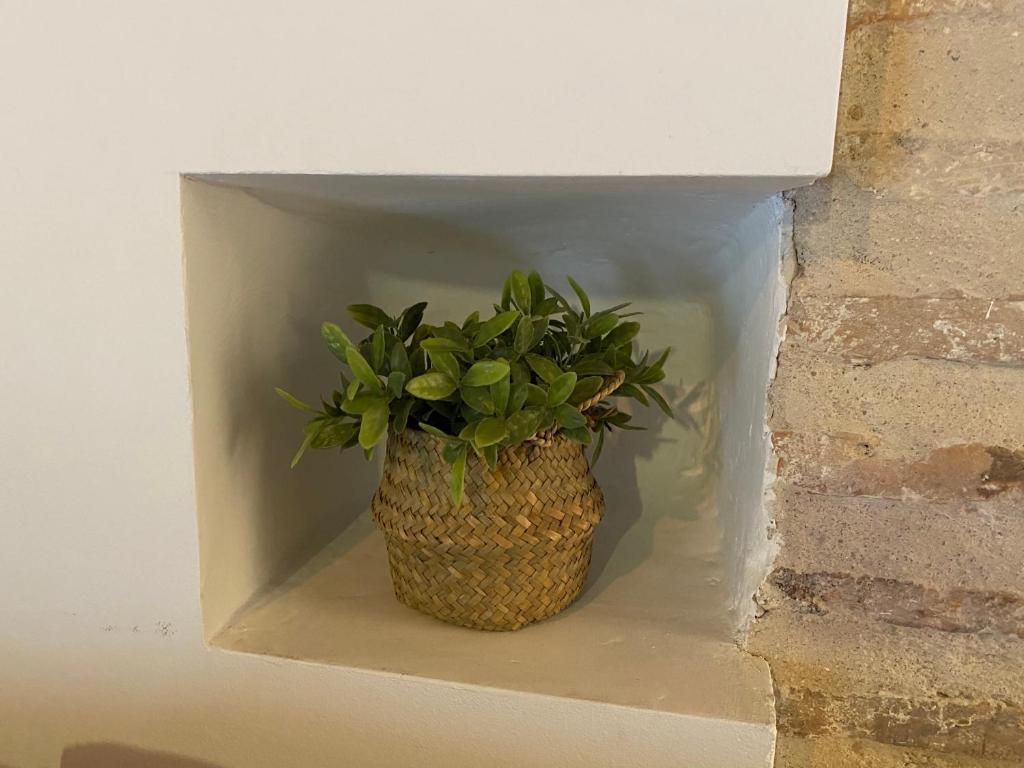 DOMUS ALFILERITOS - 7