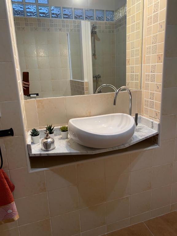 DOMUS ALFILERITOS - 9