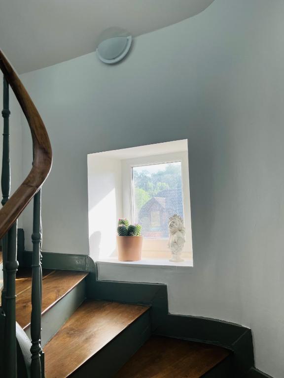 a stairway with a window and a potted plant at Charmant duplex à BILLÈRE aux portes de Pau in Billère