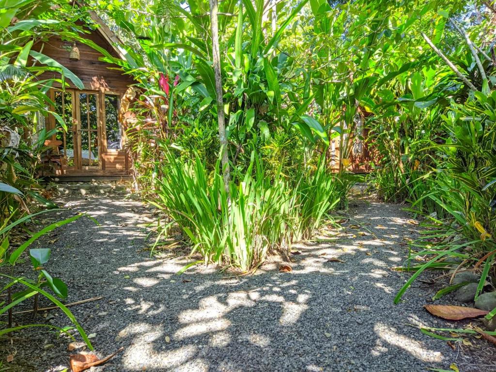 Aed väljaspool majutusasutust Coconut Tree Cottages