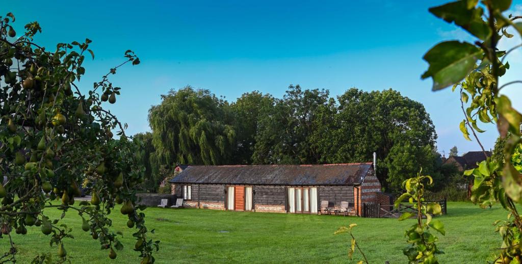 eine alte Scheune auf einem Feld mit Bäumen im Hintergrund in der Unterkunft The Tool Shed in Wimborne Minster