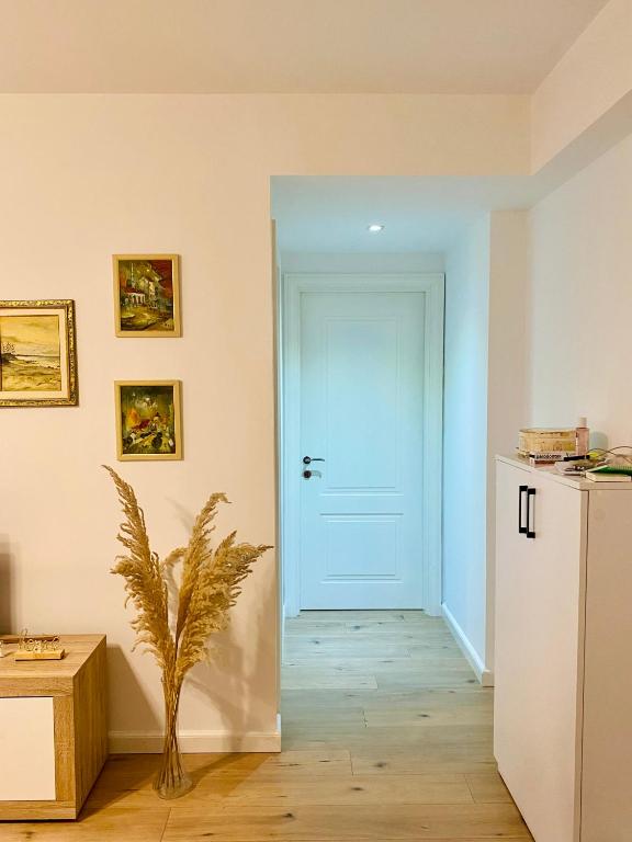 Jolie Center Apartment - Imazhi 9