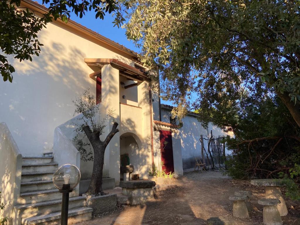 un edificio blanco con un árbol delante en Taddore Green Lodge en Galtellì