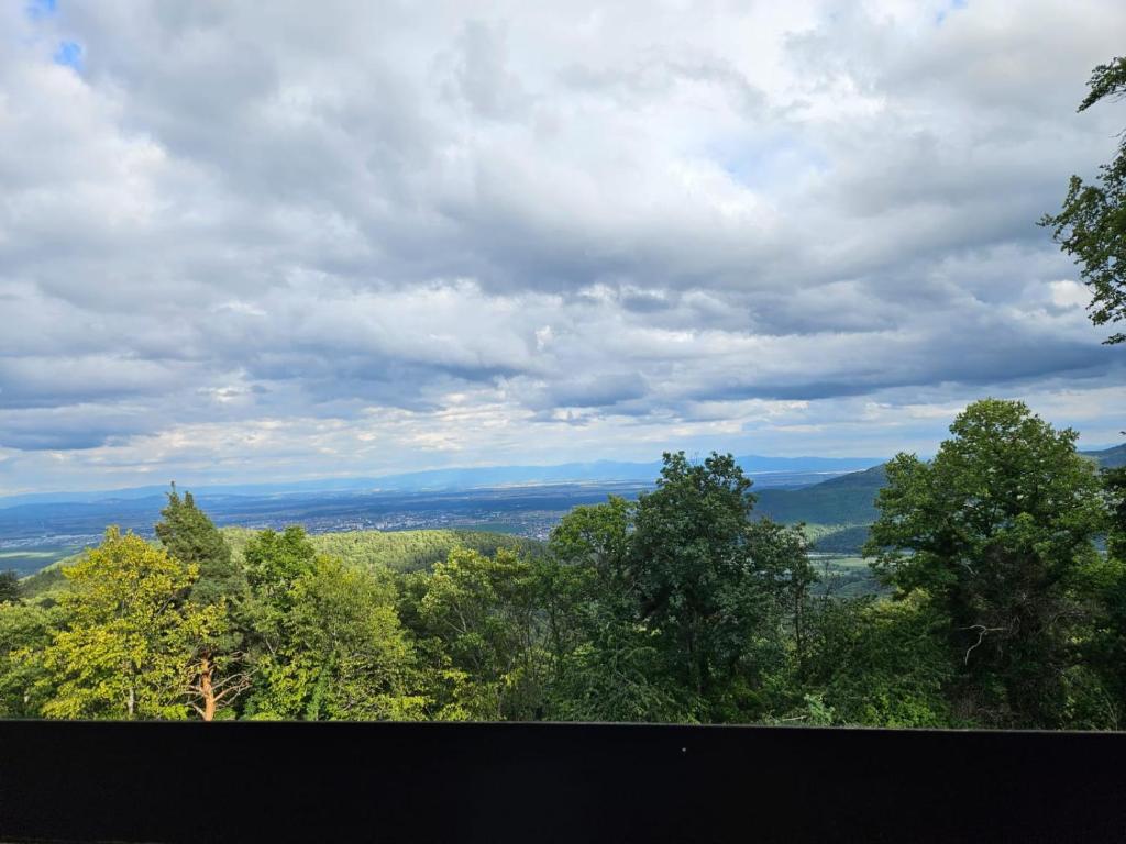 LE PANORAMA studio privé avec vue magnifique TURCKHEIM TROIS ÉPIS – photo 12