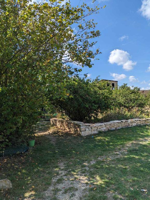una pared de piedra en un patio con un árbol en Gite de campagne avec SPA privatif, en Saint-Sauvant