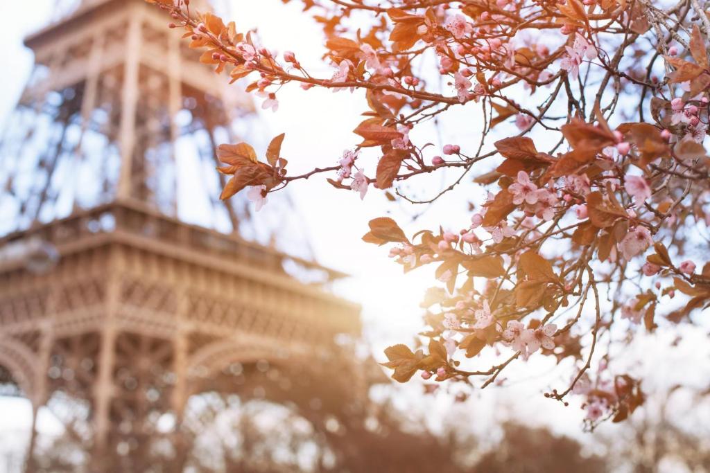 Fotografie z fotogalerie ubytování Timhotel Tour Eiffel v Paříži