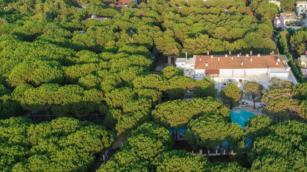 an overhead view of a house in the midst of trees at Marea Resort in Golem