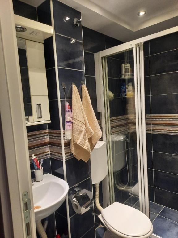 Dušanovac (historical)にあるApartman JOVANAのトイレと洗面台付きのバスルーム