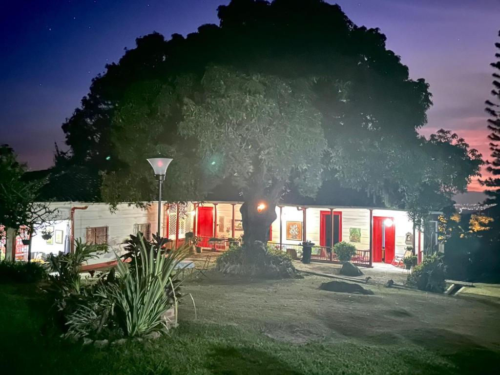 a house with red doors and a large tree at Casa Vieja Mountain Lodge 