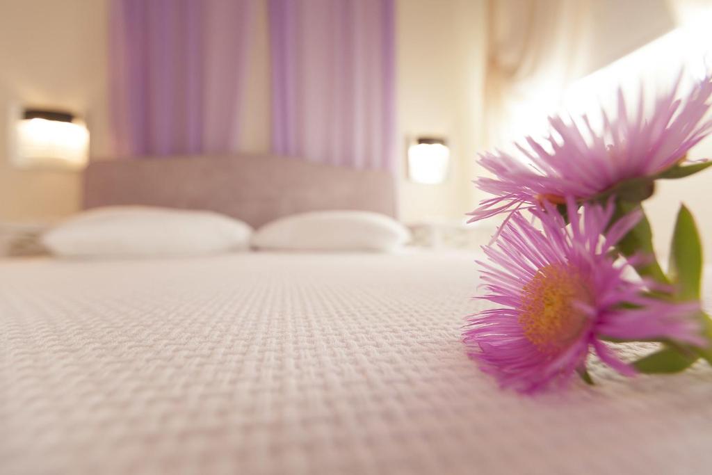 Sunny Hill - Suite Junior