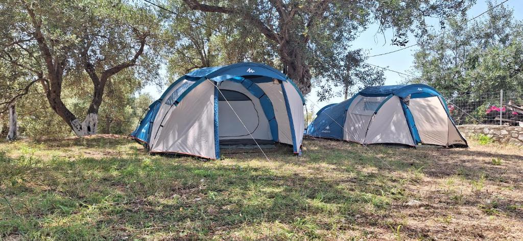 Fotografie z fotogalerie ubytování Olive Camping v destinaci Himare