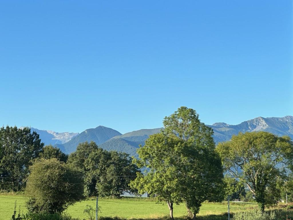a group of trees in a field with mountains in the background at Ferme Peyroutet in Asson