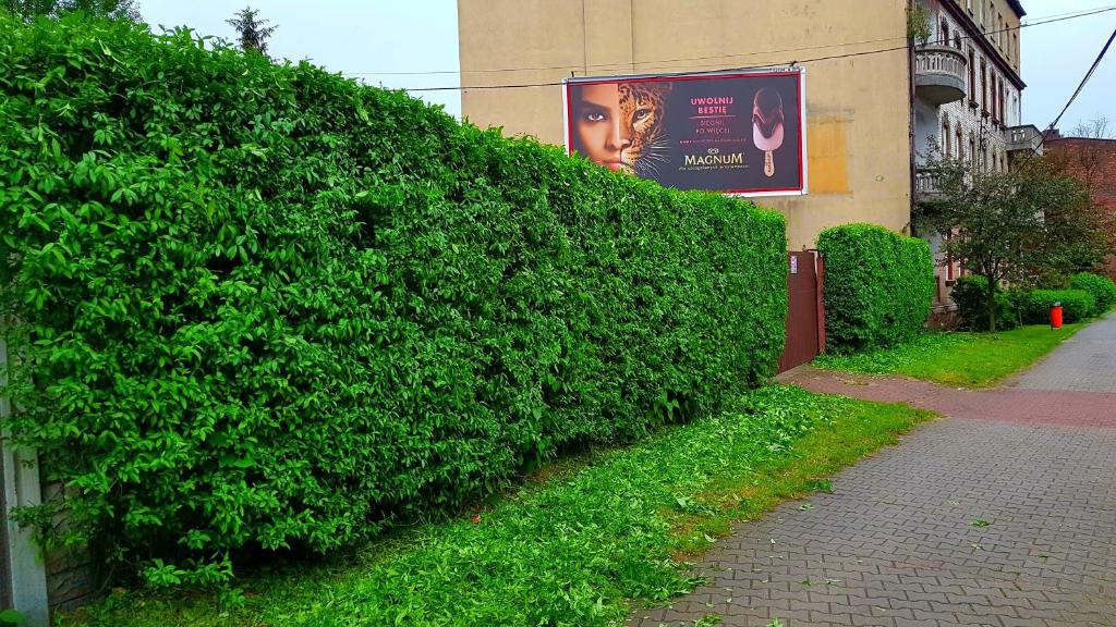 Vonkajšia záhrada v ubytovaní Apartament Park Śląski
