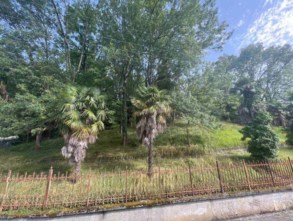 two palm trees in a field behind a fence at Charmant duplex à BILLÈRE aux portes de Pau in Billère