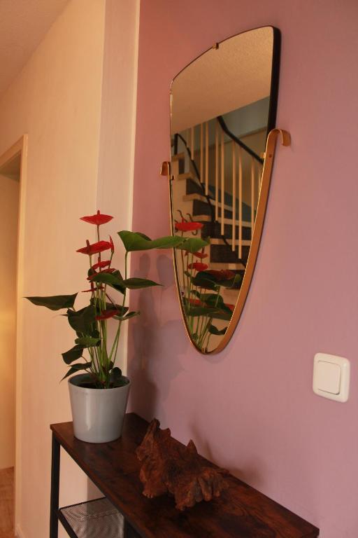 Fotografie z fotogalerie ubytování Ferienwohnung CONNI v destinaci Hellenthal