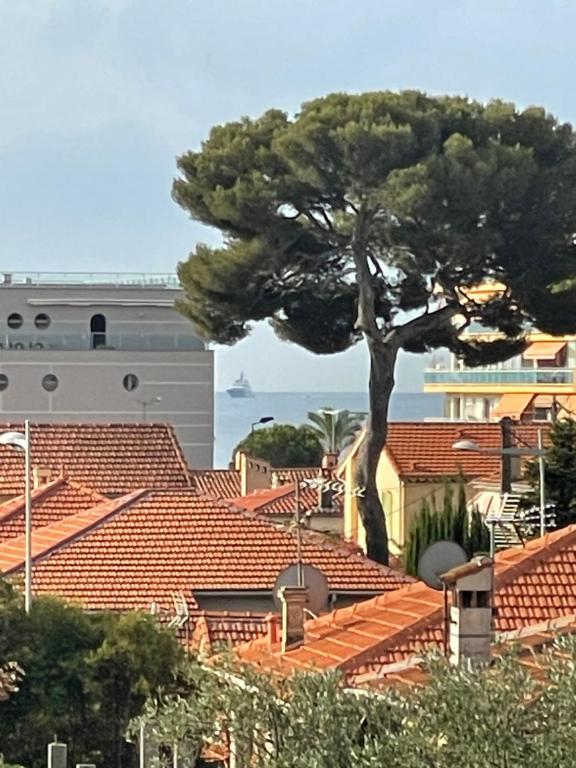 a tree sitting on top of a roof at 3 pièces au cœur du cros de cagnes in Cagnes-sur-Mer