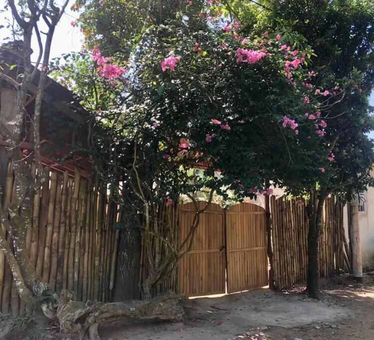 uma árvore com flores cor-de-rosa em frente a uma cerca de madeira em Caza Terraza em Palomino
