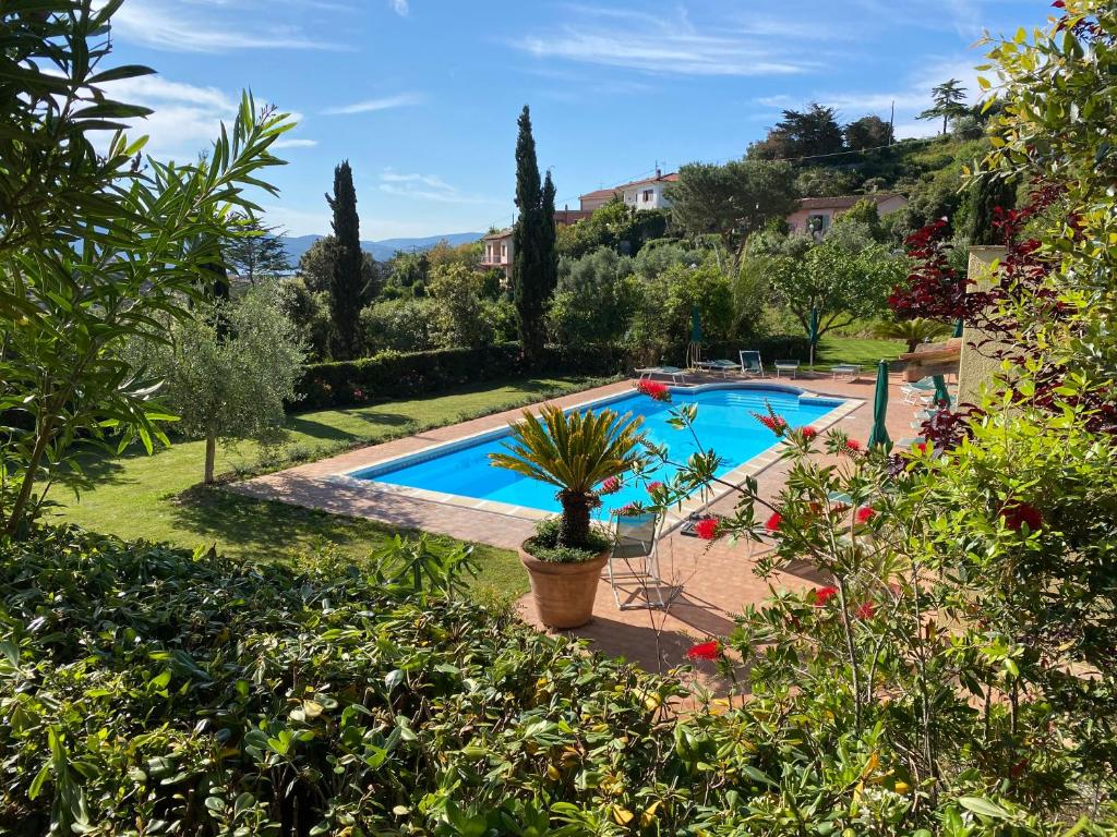 a swimming pool in a garden with a potted plant at Belvedere Residenza Mediterranea in Portoferraio