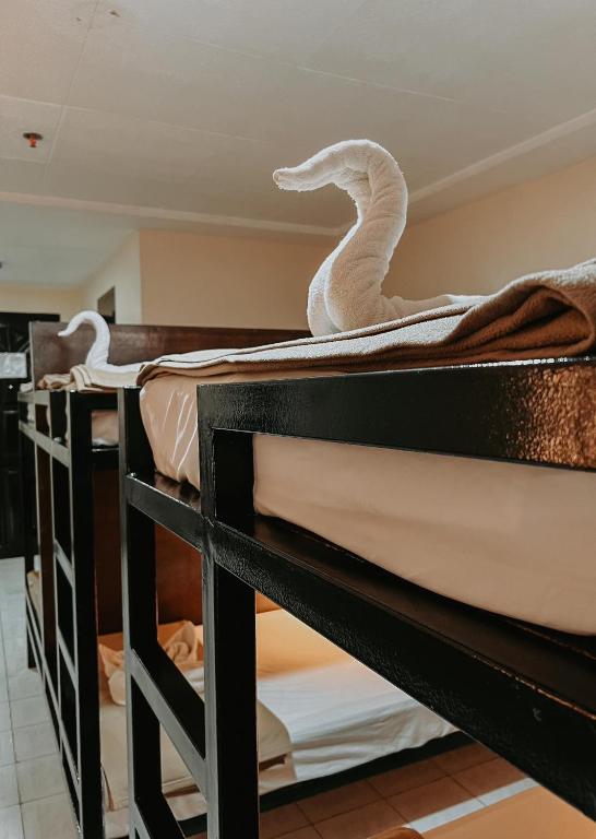 Fuente Hotel de Cebu - 8-Bed Mixed Dormitory Room
