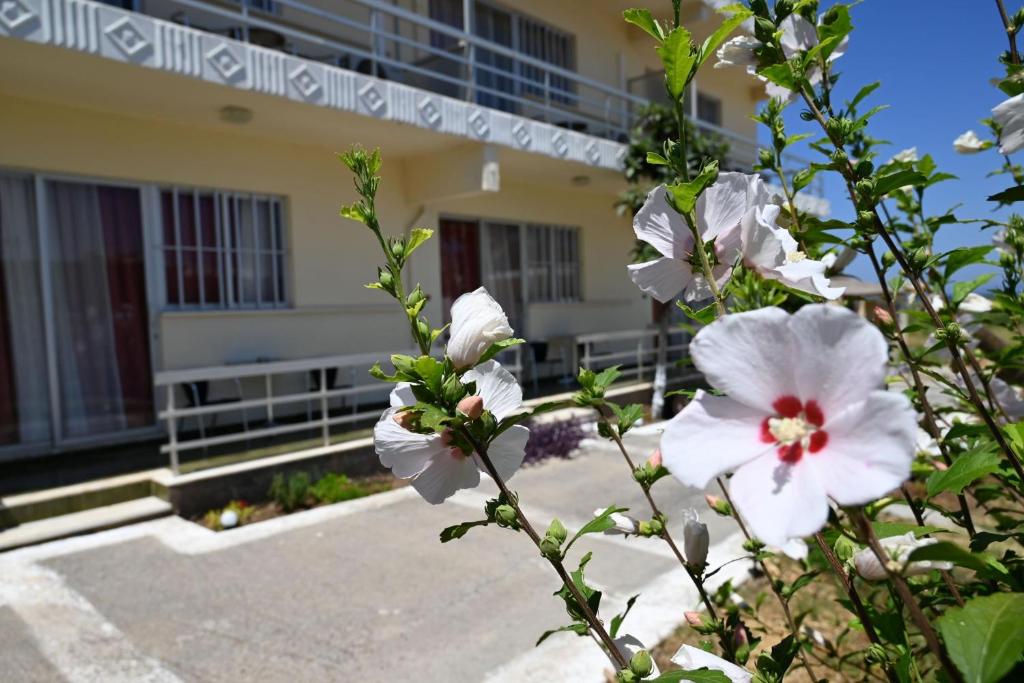 Fotografie z fotogalerie ubytování Helena Apartments in Paradisi v destinaci Paradeísion