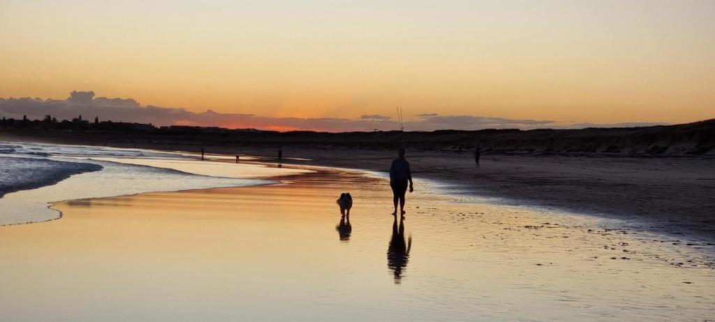 a man and a dog walking on the beach at Kurranulla Sapphire - Unit 1 in Cronulla