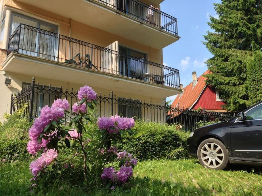 um carro estacionado em frente a um edifício com flores roxas em Studio für 2 Pers mit DU/WC em Braunlage