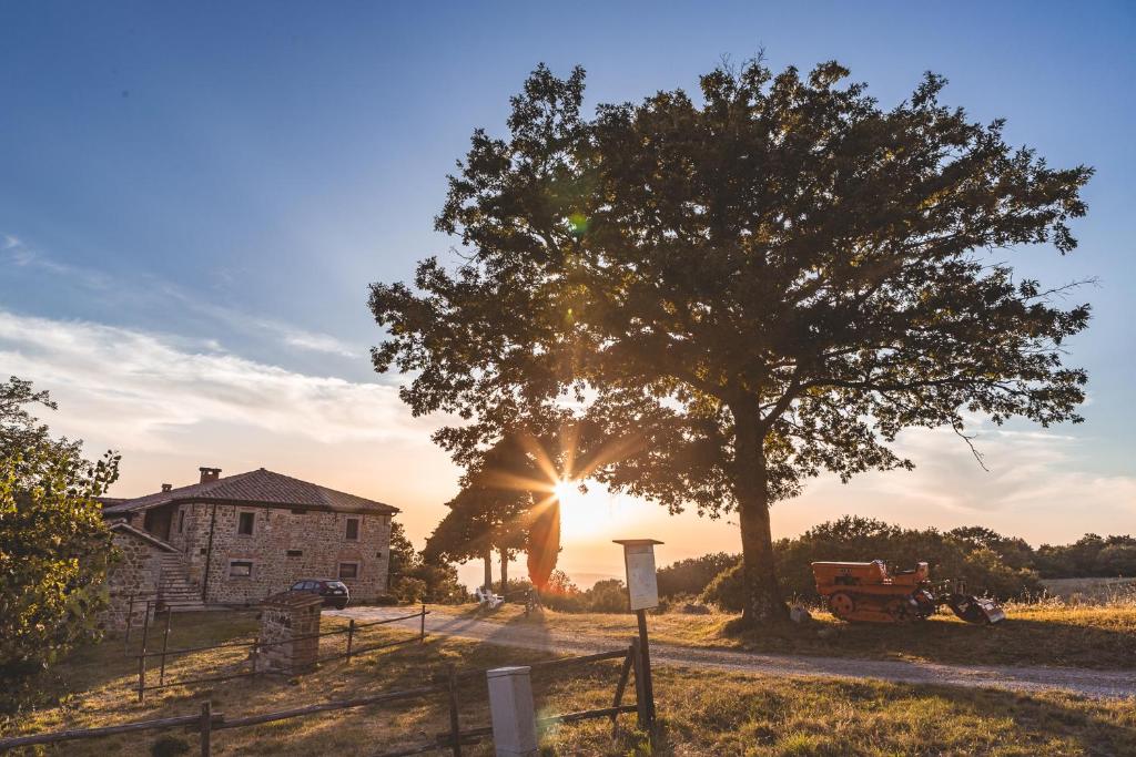 Ein Baum vor einem Haus mit der Sonne dahinter. in der Unterkunft Masseria Del Bosco - Podere Palazzone in Chianciano Terme