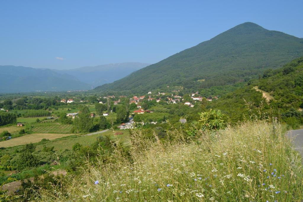 Táj Show holiday homes közelében