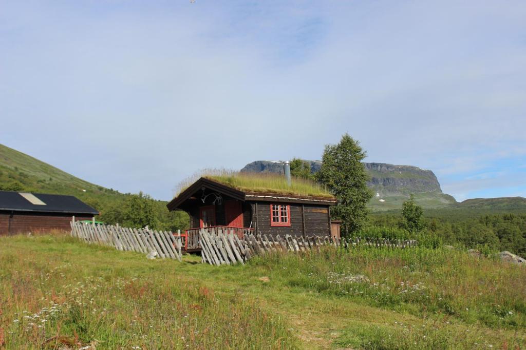 Vang I Valdres的住宿－Mountain cabin Skoldungbu，山丘上带草屋顶的小房子