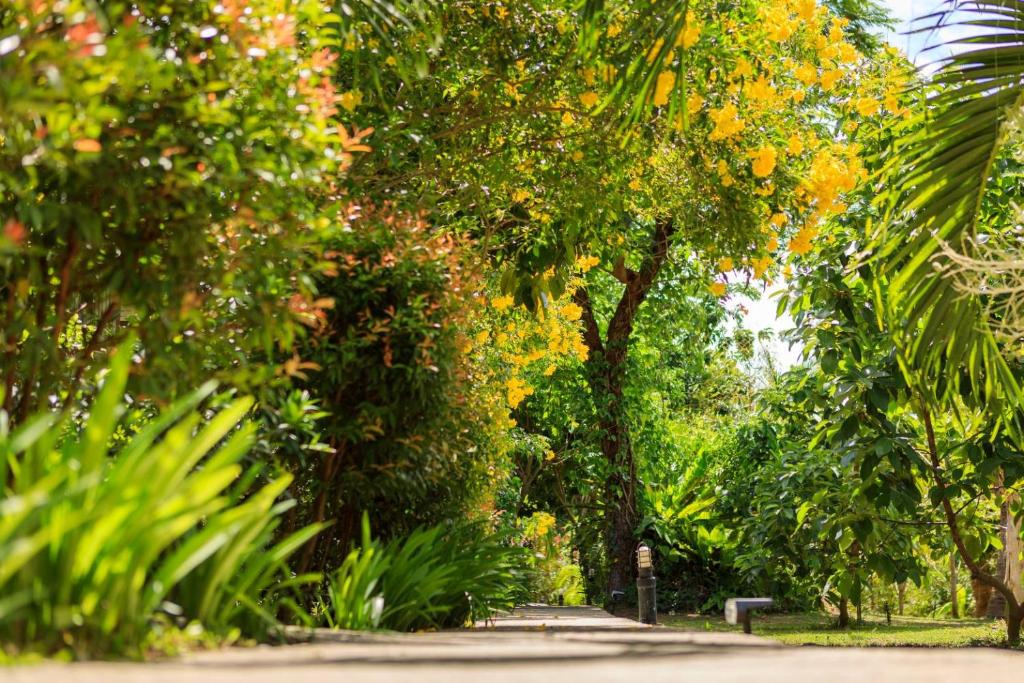 a path in a park with trees and plants at Bang Po Garden in Ban Bang Po