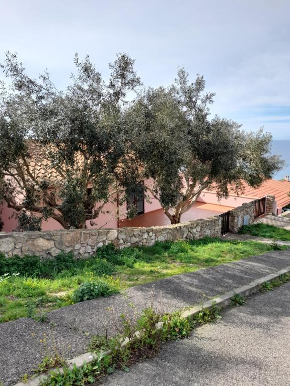 Casa Antonietta a Funtana Meiga - Villetta panoramica