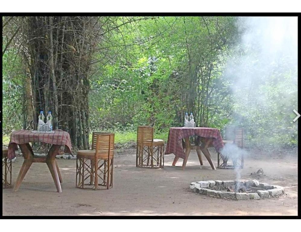 a group of tables and chairs around a fire pit at Tigers Villa, Tala Bandhavgarh in Tāla