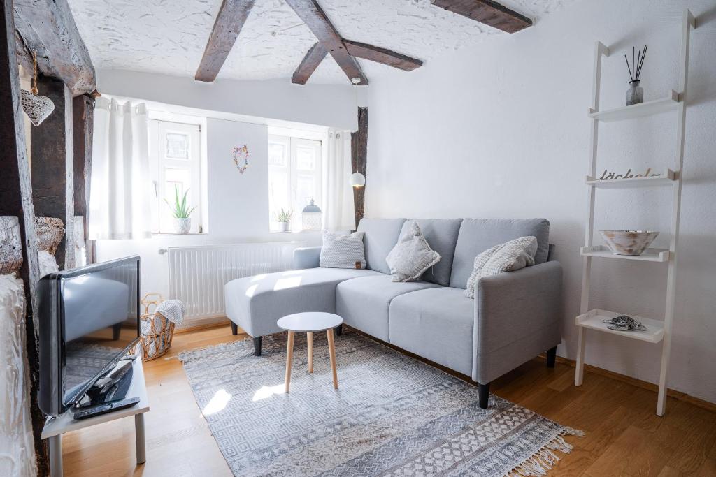 a living room with a couch and a tv at Wohnen in malerischer Altstadt in Siegen