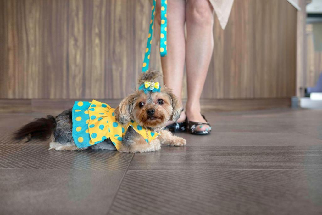 Tru By Hilton Toronto Airport West - Resim 39