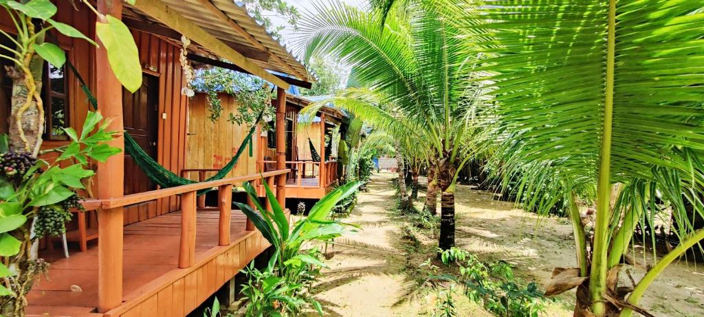 a house with a row of palm trees in front of it at Mangrove Beach Bungalows in Koh Rong Sanloem