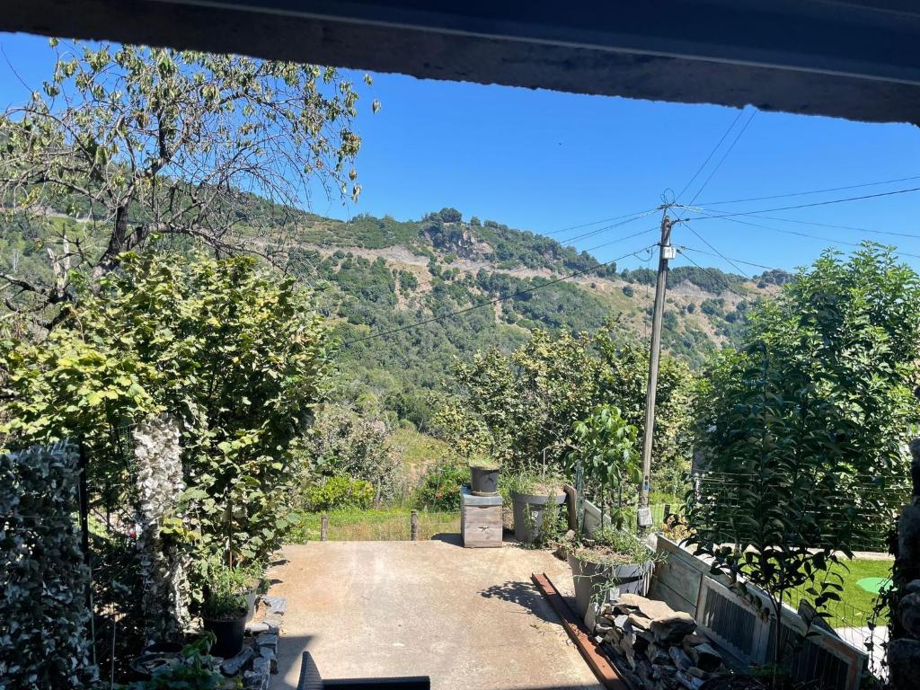 Γενική θέα στο βουνό ή θέα στο βουνό από  αυτό το διαμέρισμα