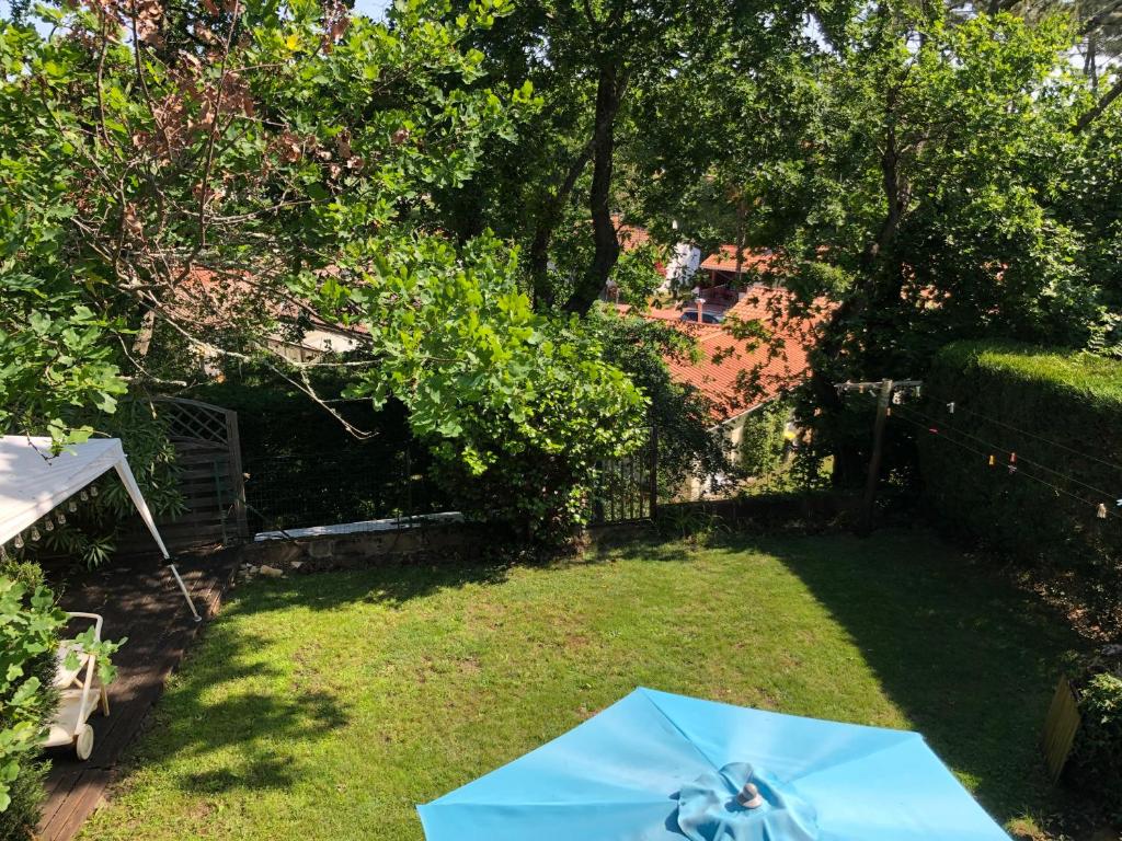 un parapluie bleu assis sur l'herbe dans une cour dans l'établissement Maison familiale proche dune Pyla, plages, lac de Cazaux, sites de loisirs, à La Teste-de-Buch