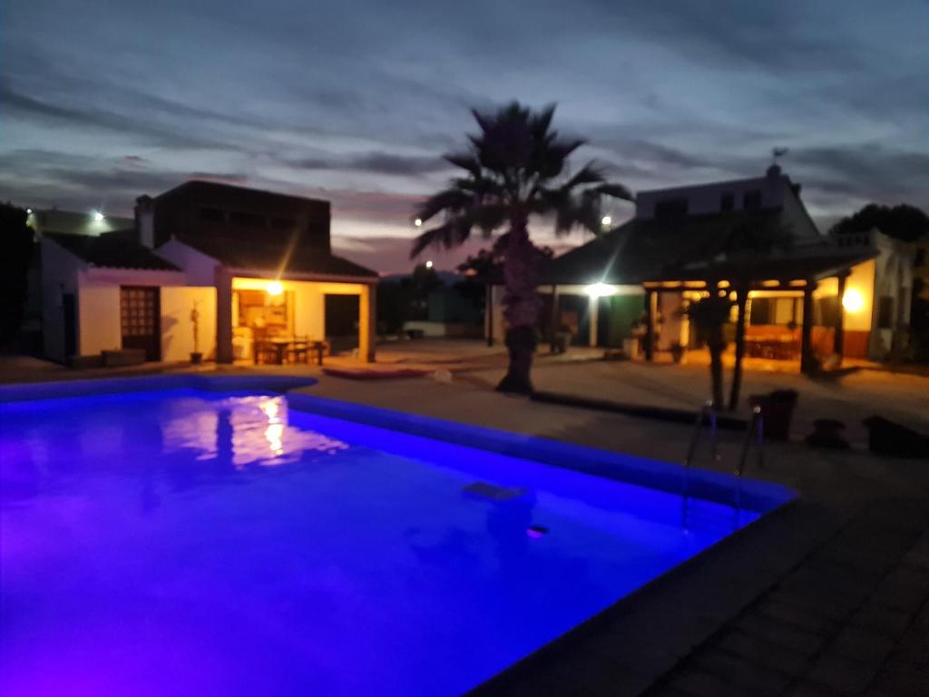 una piscina por la noche con luces moradas en VILLA HOPE CALASPARRA, en Valentín