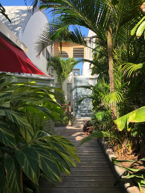 a path through a garden with palm trees and a building at vert lagon in Saint-Pierre