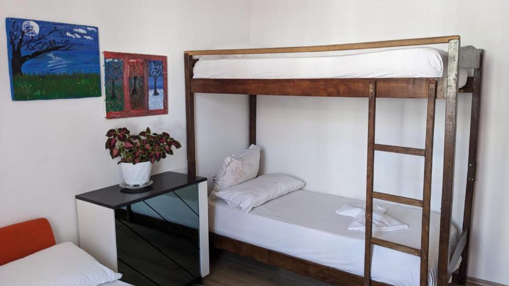 David Guesthouse - Image 7