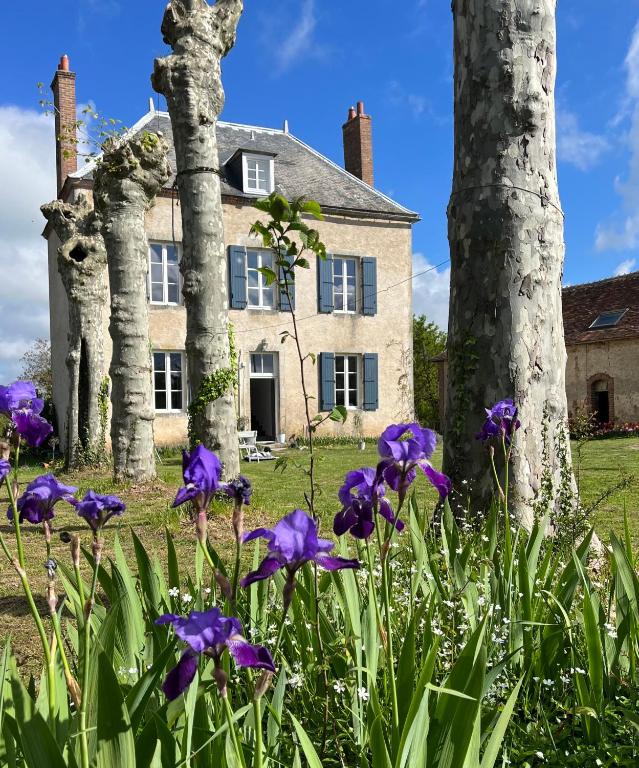 un jardin avec des fleurs violettes devant une maison dans l'établissement Le Brasseur Logements, à Saint-Caprais