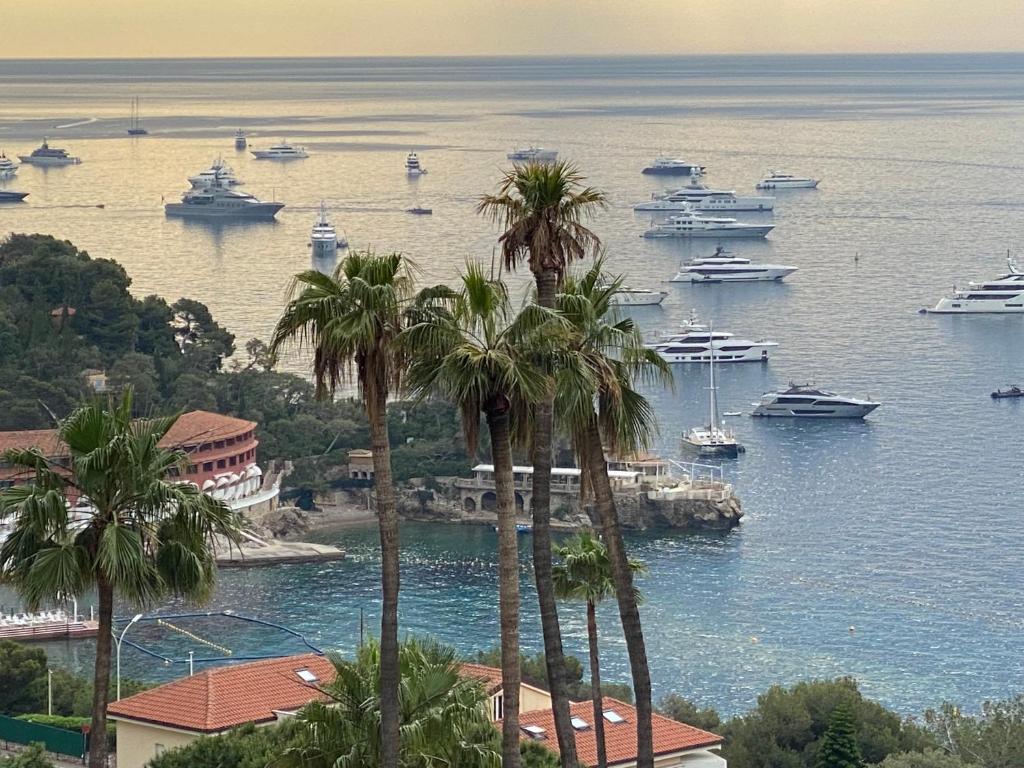 um grupo de barcos em um porto com palmeiras em Monte Carlo border sea view 10 min to Casinò em Beausoleil