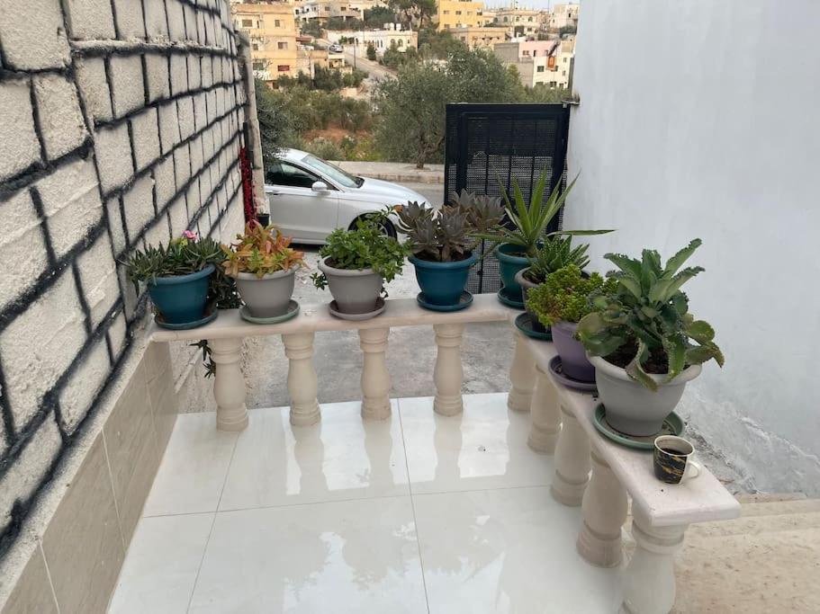 una fila di piante in vaso su un tavolo sul balcone di Beit Al Hasan بيت الحسن a Um Qeis