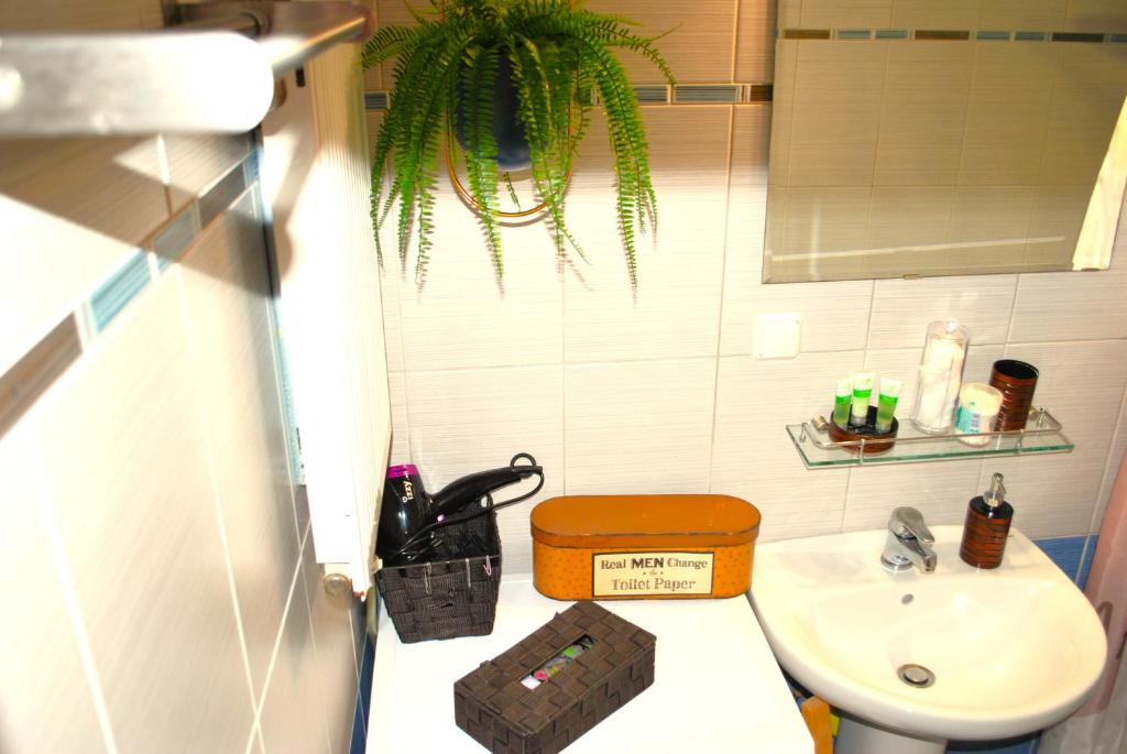 Penny's luxury city apartment - 5