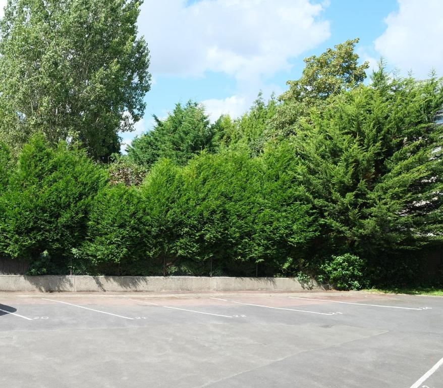 a parking lot with trees in the background at Le Jockey - SIPCO Immobilier - Centre in Saint Lo